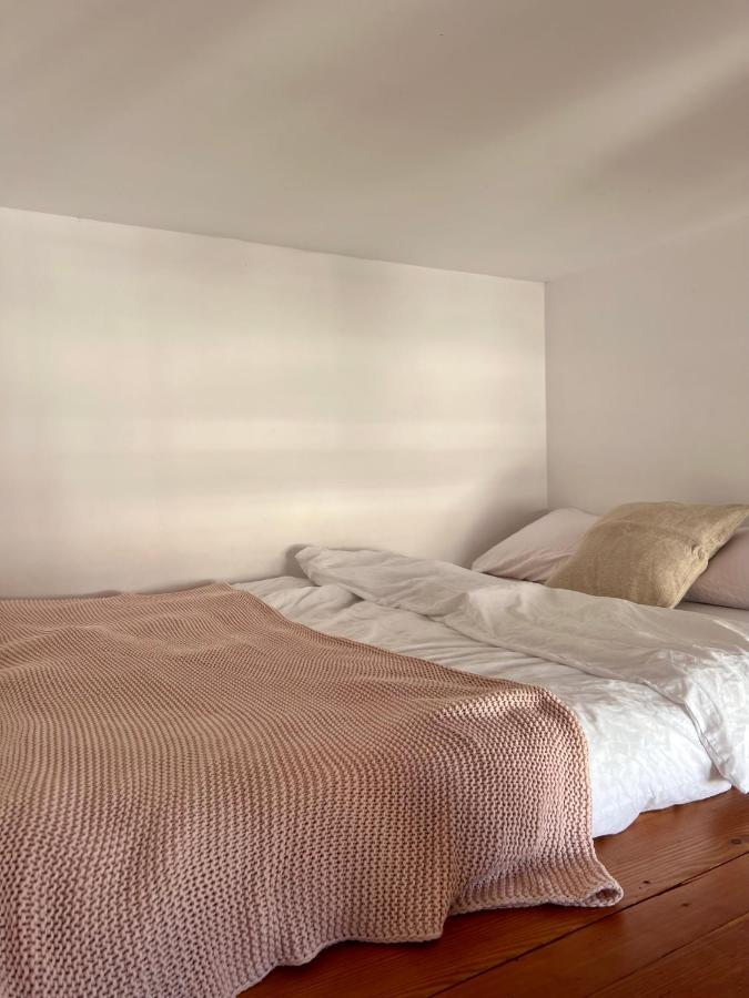 Chic Apartment In The Center Of Cracow Kraków Eksteriør billede
